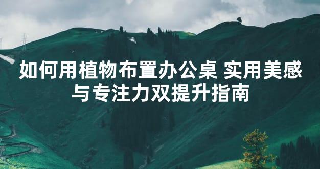 如何用植物布置办公桌 实用美感与专注力双提升指南